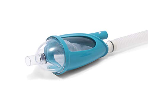 Intex Kit de mantenimiento de piscina de lujo, accesorios de piscinas, set de limpieza, extensible 279 cm (58959)