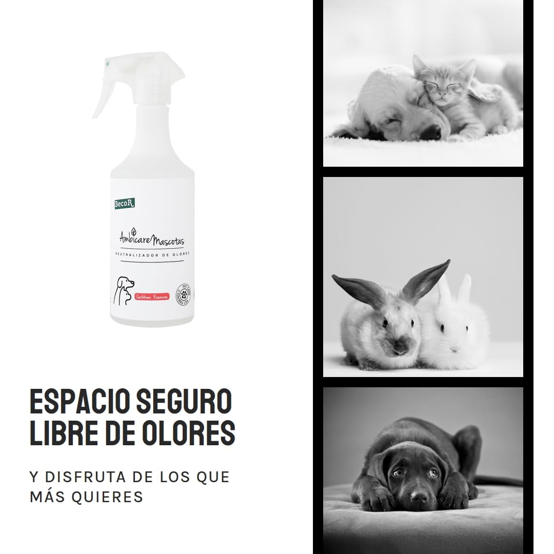 AMBICARE MASCOTAS-Neutralizador de olores de Gatos y Perros, Eliminador de olores Mascotas, ambientador absorbe olores mascotas, Biodegradable y sin Tóxicos para tu Mascota. PETCARE