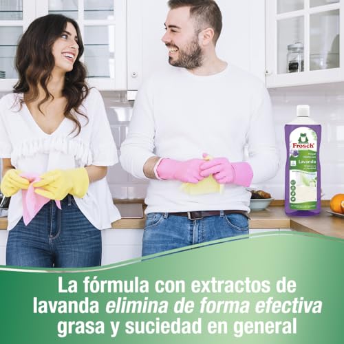 Frosch - Limpiador Multiusos de Hogar Ecológico Lavanda, Elimina la Grasa y la Suciedad en General, Higienizante eficaz - Resultado Brillante y Duradero - 1 L