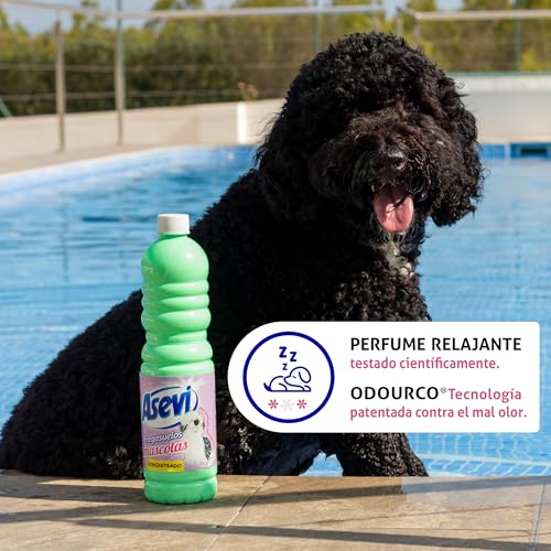 Asevi - Fregasuelos Mascotas Concentrado con Tecnología Patentada contra el Mal Olor | Limpiasuelos Perfumado con PH Neutro para Todo Tipo de Suelos - 12 Botellas x 1 Litro