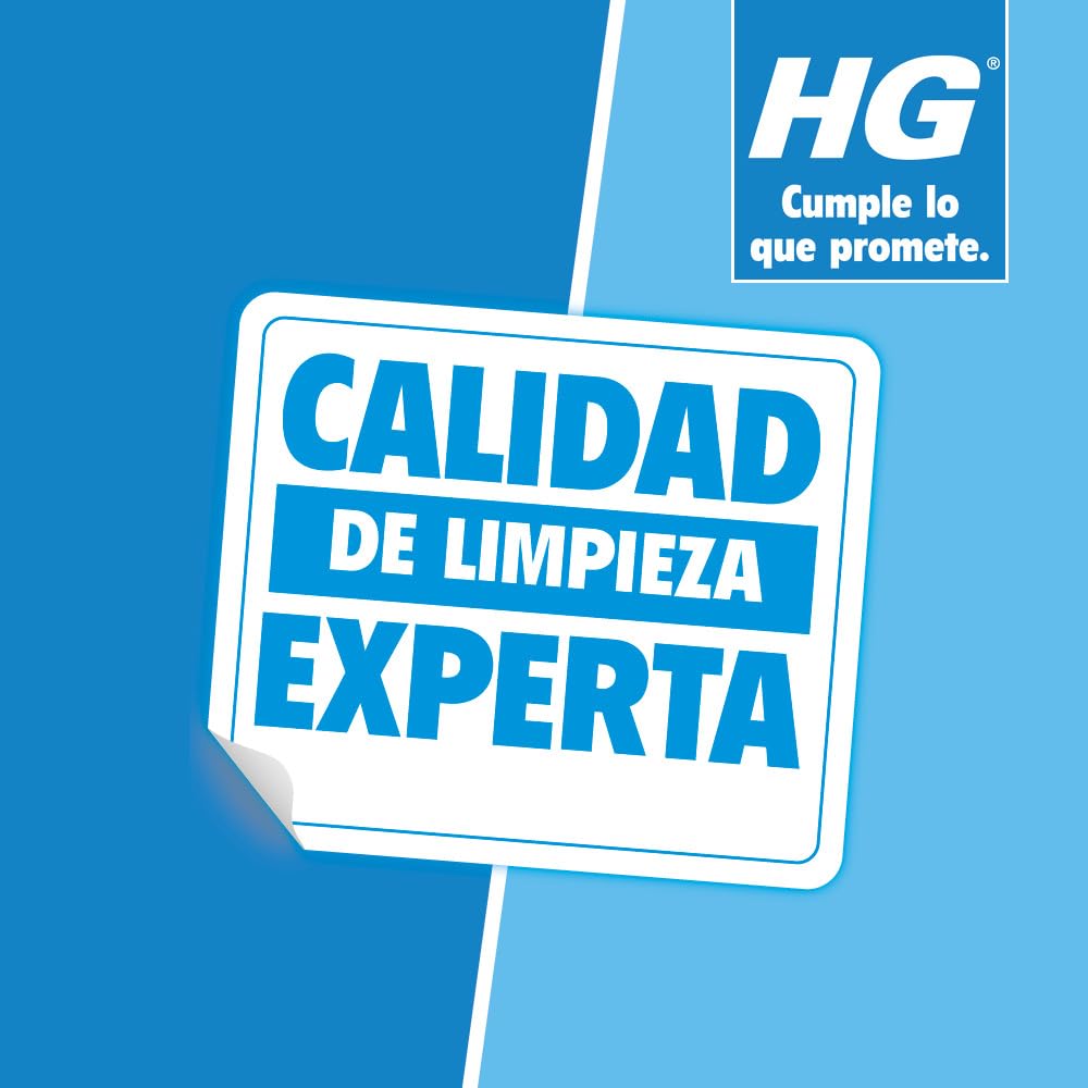 HG Quitamanchas para Alfombras y Tapicerías Extrafuerte,Quitamanchas en Spray para Todo Tipo de Tejidos,Limpiador para Sofá y Alfombras, Eficaz Contra las Manchas Más Difíciles,500 ml