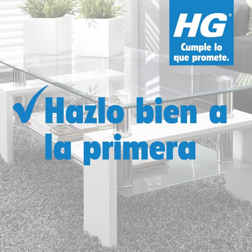 HG Limpiacristales y Espejos, Resultado Impecable Sin Marcas, Elimina con Facilidad la Grasa y Suciedad de Ventanas y otras Superficies de Cristal y Vidrio - 500ml en Spray (142050109)