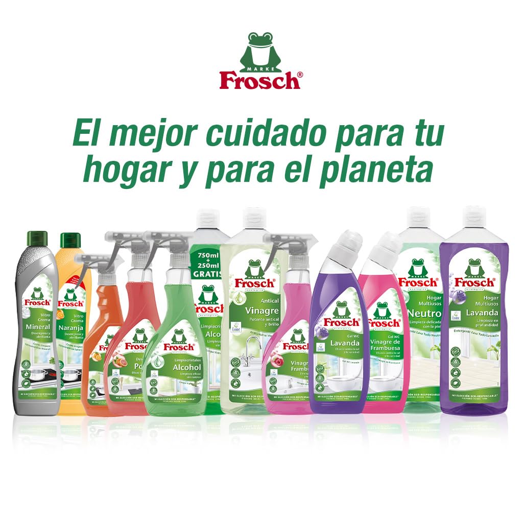 Frosch - Quitagrasas Desengrasante Ecológico Pomelo, Apto para Superficies Alimentarias, Elimina la Grasa sin Esfuerzo - 500 ml