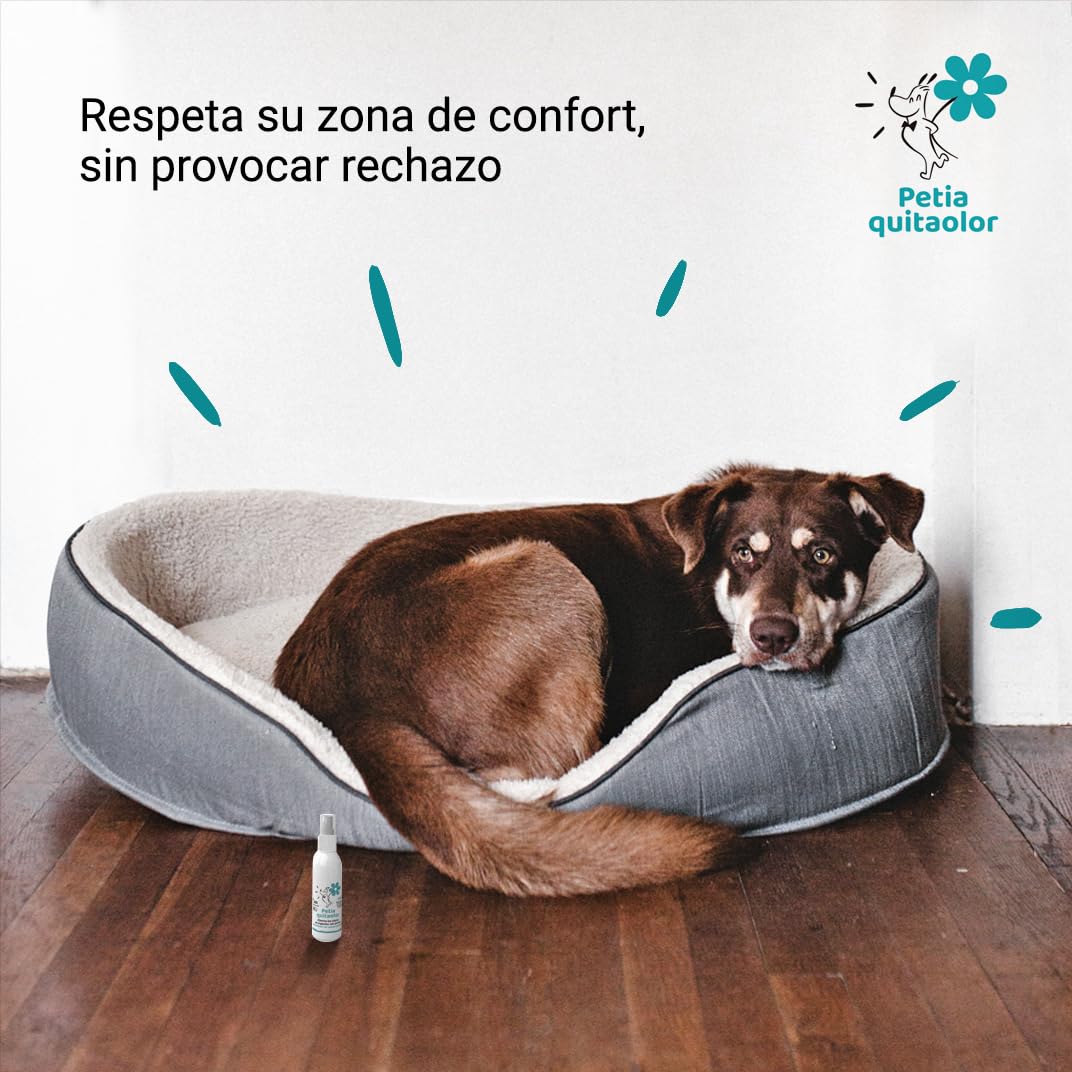 petia Vet health - Quitaolor para Perros - Ambientador para los Malos olores -1 Bote 80 ml