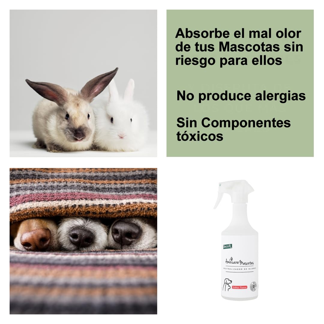 AMBICARE MASCOTAS-Neutralizador de olores de Gatos y Perros, Eliminador de olores Mascotas, ambientador absorbe olores mascotas, Biodegradable y sin Tóxicos para tu Mascota. PETCARE