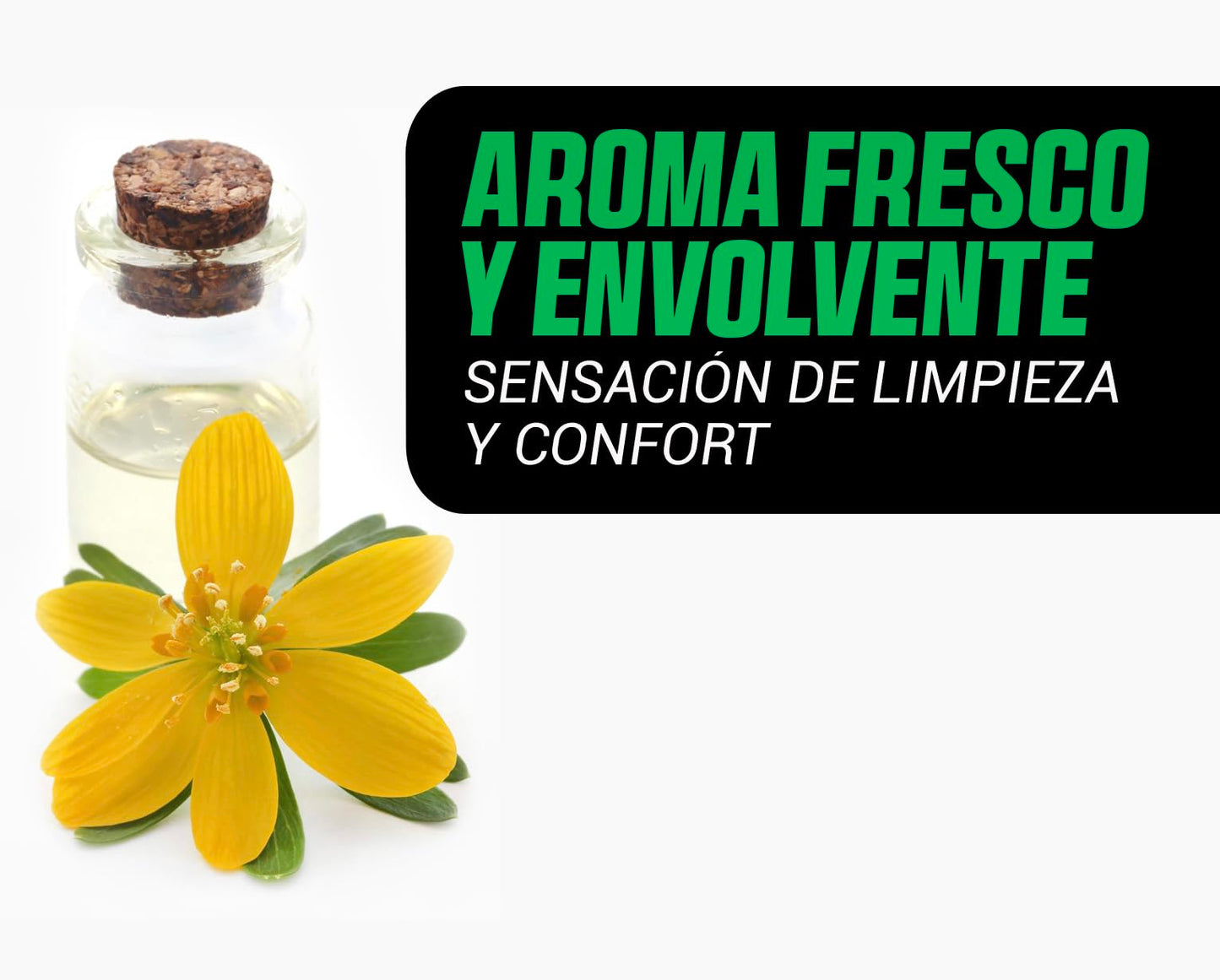 EQM - ECO-204 - Limpiacristales Multiusos Profesional - 5L - Limpieza Rápida, Sin Rastros Ni Marcas - Aroma fresco y envolvente