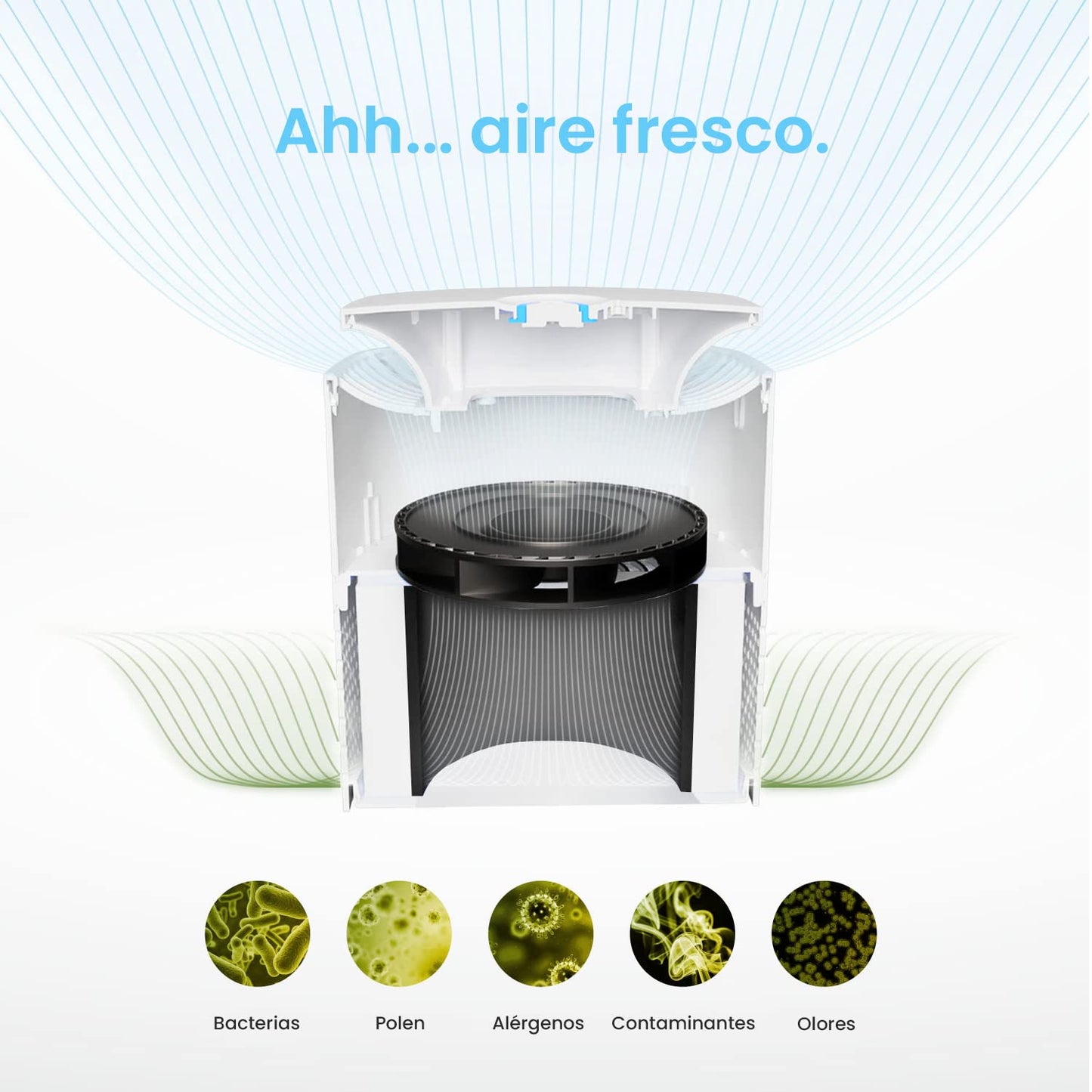 Pro Breeze Purificador de aire 4 in 1 con Prefiltro, Filtro Auténtico HEPA & Filtro de Carbón Activado con Generador de Iones Negativos. Limpiador de Aire Personal de Escritorio para Alergias