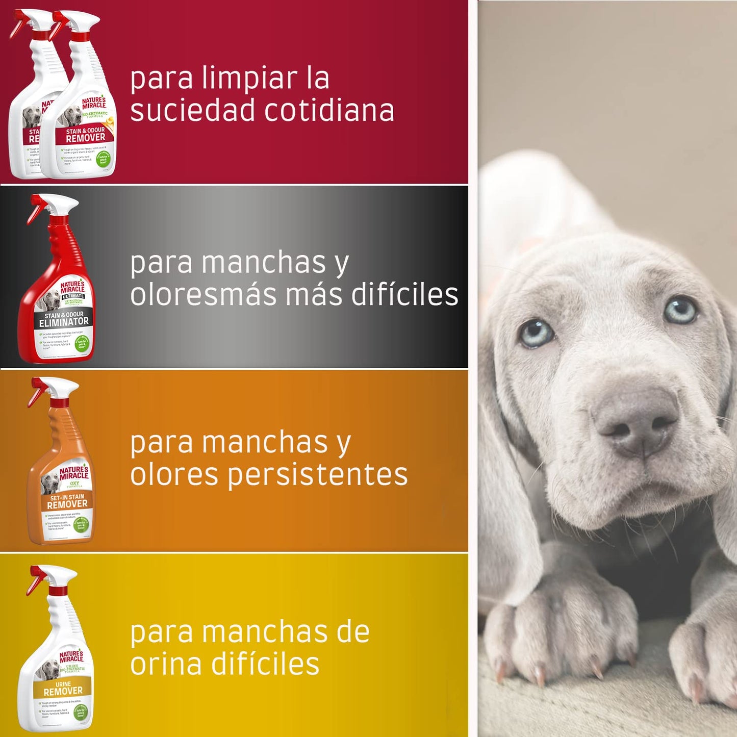 Nature's Miracle Urine Remover Perro, centra en las manchas de orina, basado en aceites esenciales, 946 ml