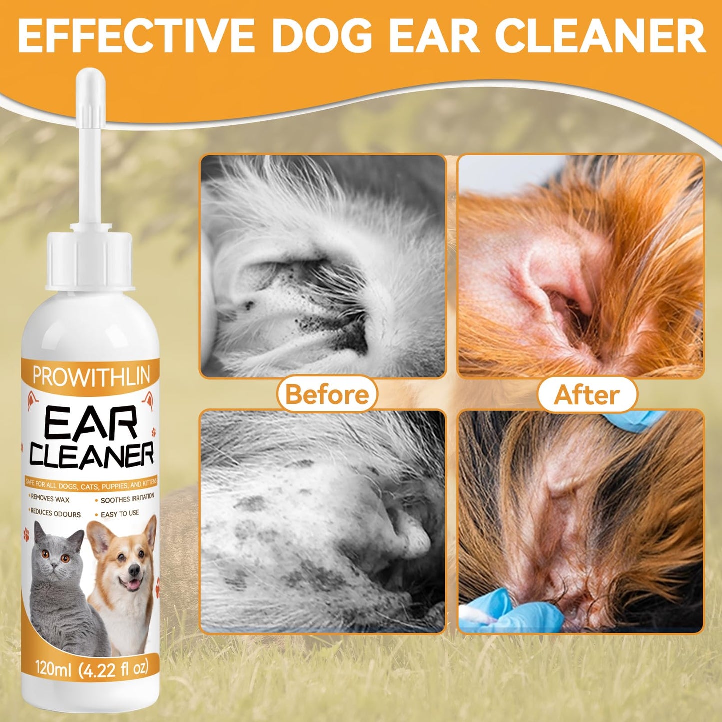 prowithlin Limpiador de Oídos para Perros y Gatos (120ml) - Elimina Residuos, Cera y Mal Olor - Limpiador Orejas Perros, Apto para Todas Las Razas de Gatos y Perros