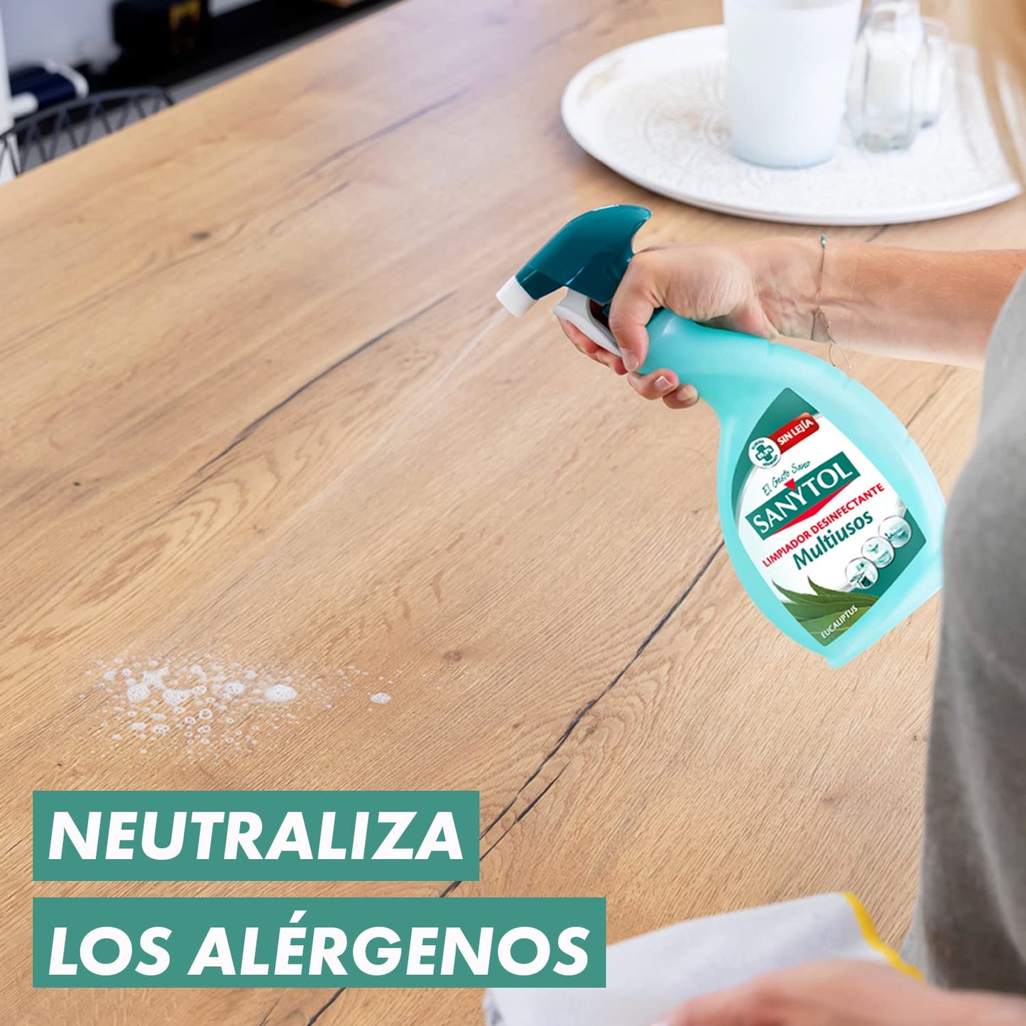 Sanytol - Limpiador Desinfectante Multiusos - Pack de 4 x 750 Ml = 3L