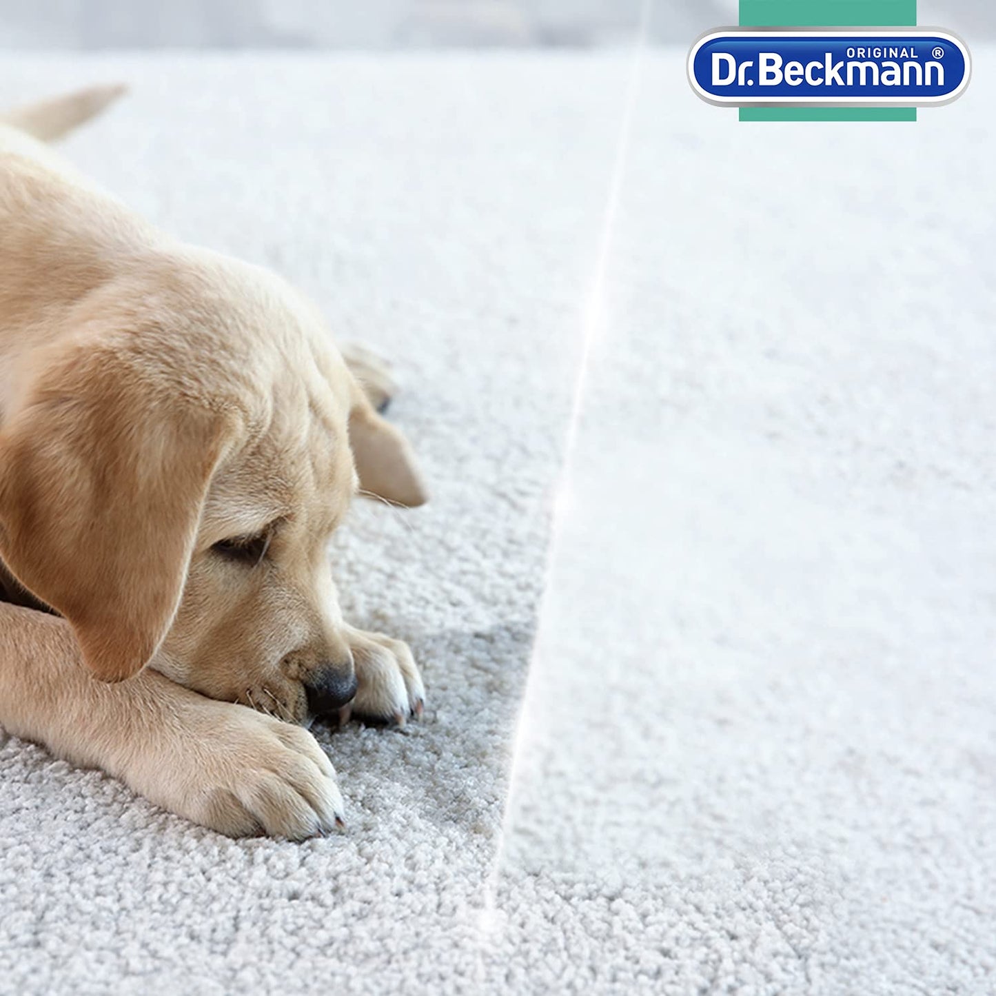Dr Beckmann Pet Stain & Odour Remover (for Carpet & Upholstery) Multicolor