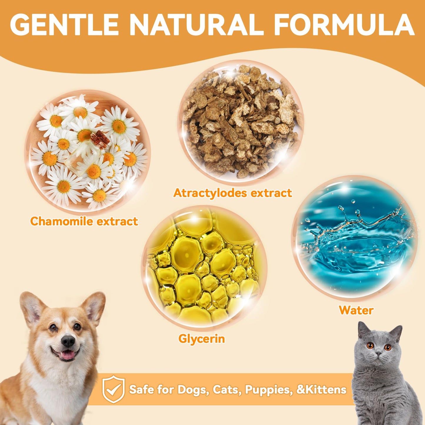 prowithlin Limpiador de Oídos para Perros y Gatos (120ml) - Elimina Residuos, Cera y Mal Olor - Limpiador Orejas Perros, Apto para Todas Las Razas de Gatos y Perros
