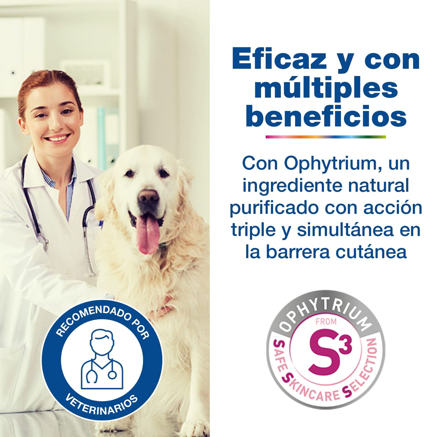 DOUXO S3 Calm Champú para Perros y Gatos - Higiene para Pieles sensibles - Alivia y Protege - Fragancia hipoalergénica - 200ml