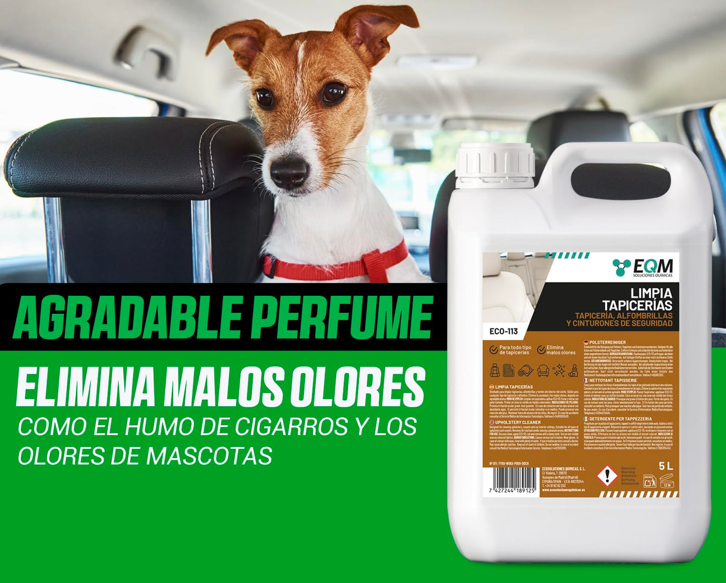 EQM - ECO-113 - Limpia Tapicerías Coche Profesional - 5L - Tela, Cuero y Alcantara - Elimina Manchas y Malos olores - Ideal para alfombras, tapicerías, moquetas, Cinturones de Seguridad