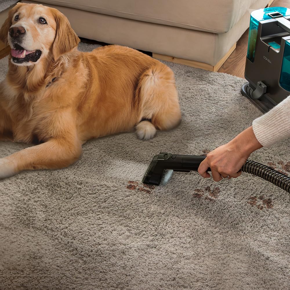 Cecotec Aspirador de Tapicerías Conga Popstar 3000 CarpetClean. 400 W, 2 Depósitos -1 de Agua Limpia y 1 de Sucia-, Pulverizador de Agua, Radio de acción 6 m, Longitud de la Manguera 1,2 m