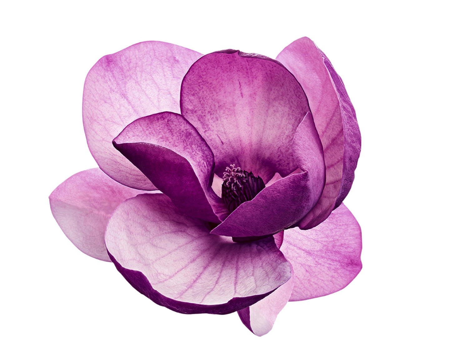 PUNTOMATIC | Cápsulas Tricámara Floral | Detergente Lavadora para Ropa Blanca y de Color | Quitamanchas | 12 lavados