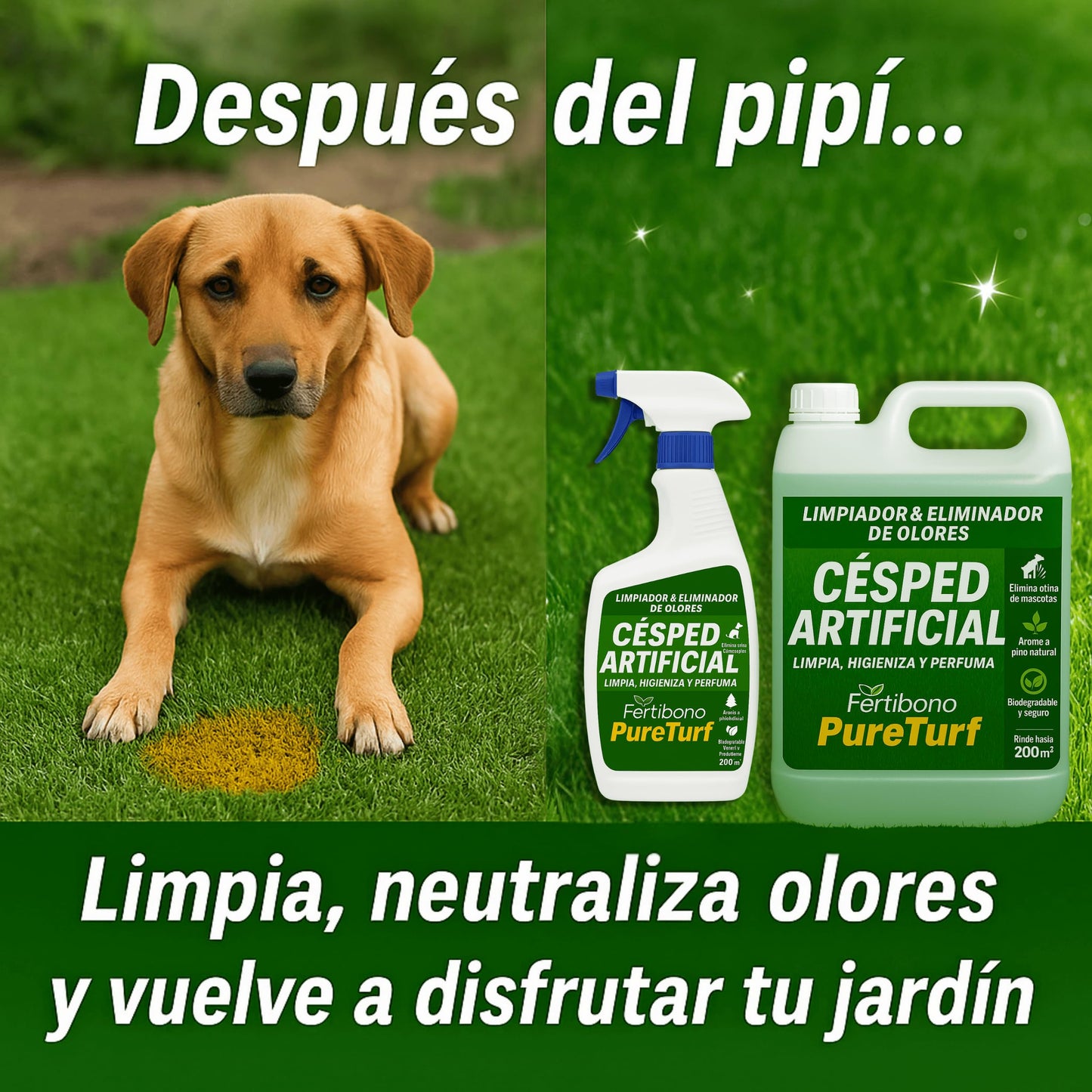 Fertibono Higienizador Cesped Artificial, (5L), Protege a tus Niños: Deshazte de los Olores, Virus y Bacterias de Orina de Mascotas para un Césped Seguro y Limpio.