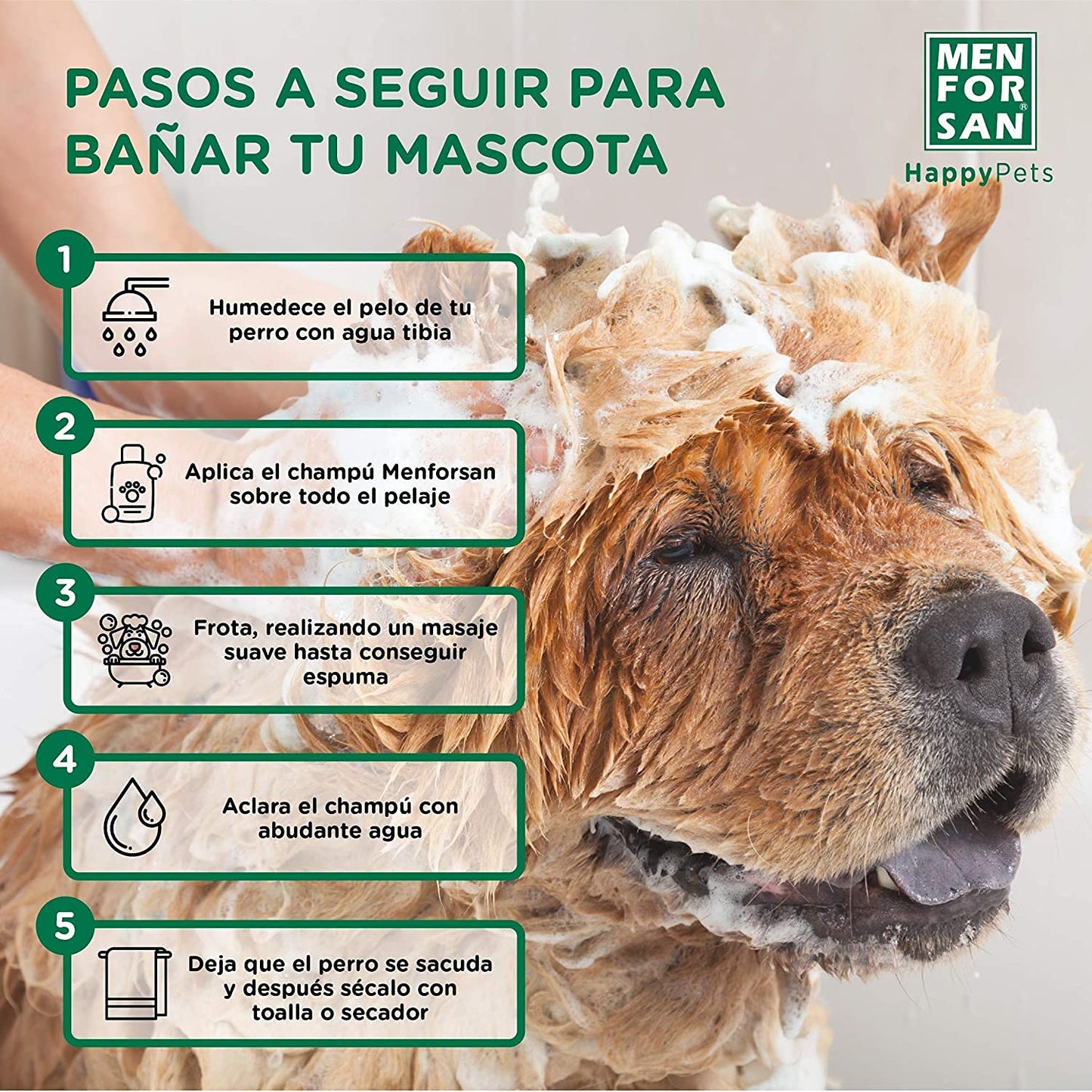 MENFORSAN Champú Perros, Aloe Vera, Verde, 1 l Paquete de 2