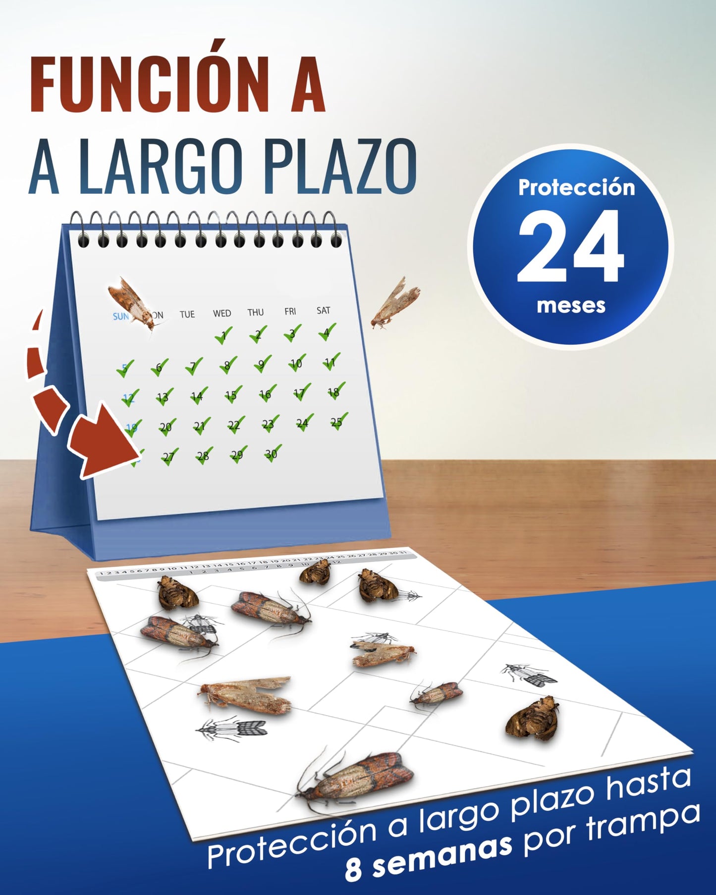 PIC Trampa Polillas Alimentos - 12x Trampas para Polillas de la Comida - Antipolillas Cocina Alimentos - Trampas Adhesivas Eficaces para Determinar la Infestación de Polillas de la Comida