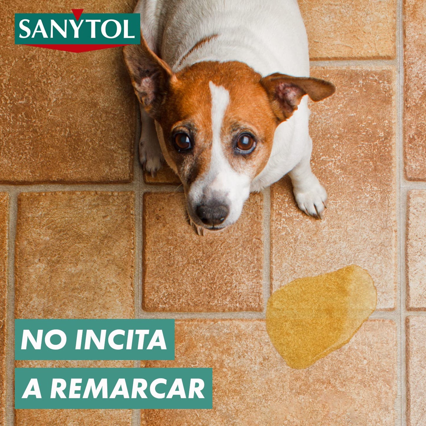 Sanytol – Botella Desinfectante Limpiahogar - Pack de 4 x 1.200 ML = 4,8L
