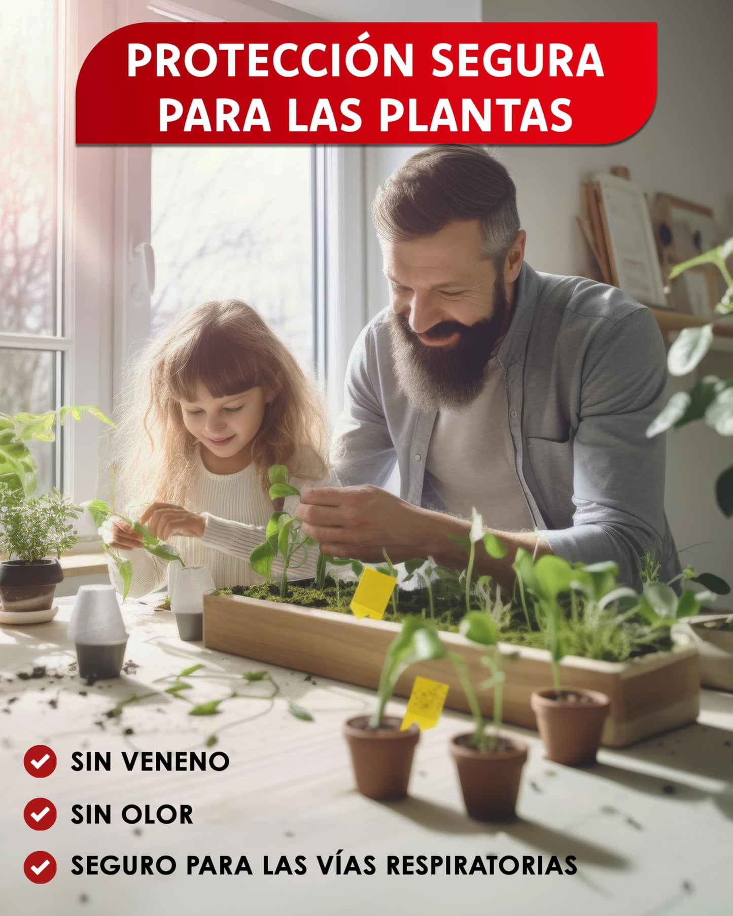 PIC Trampas Cromaticas Amarillas contra para Mosquito del Mantillo - 60x Pegatinas Trampas para Mosquitos, Eficaz Trampa Mosquitos No Tóxica, Ideal para Plantas De Interior contra Moscas pequeños
