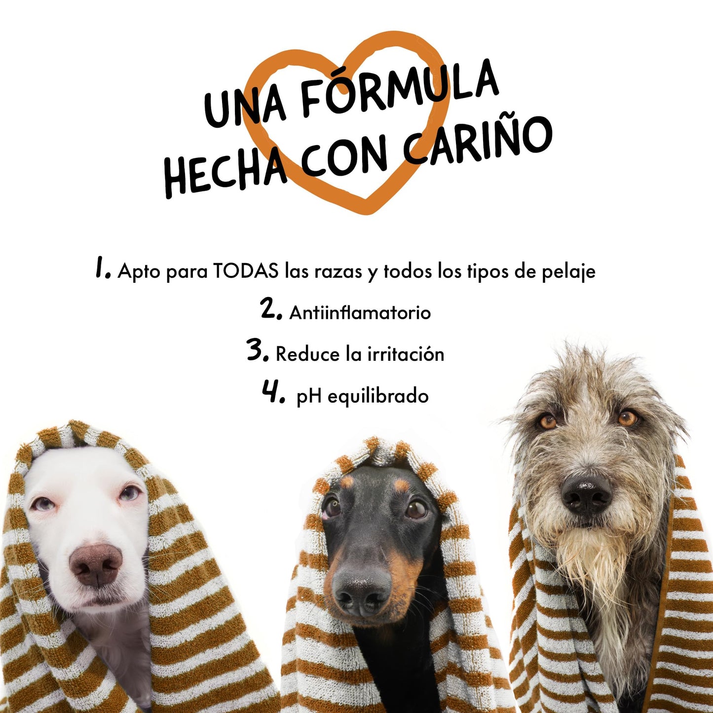 Belly Champú Perros Dermatitis y Picores - Champu para Perros, Calma el Picor y la Irritación - Ideal para Piel Sensible de Cachorros y Adultos - Champu Perros Dermatitis (Avena)