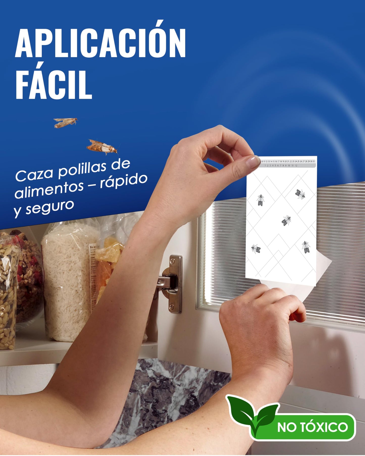 PIC Trampa Polillas Alimentos - 12x Trampas para Polillas de la Comida - Antipolillas Cocina Alimentos - Trampas Adhesivas Eficaces para Determinar la Infestación de Polillas de la Comida