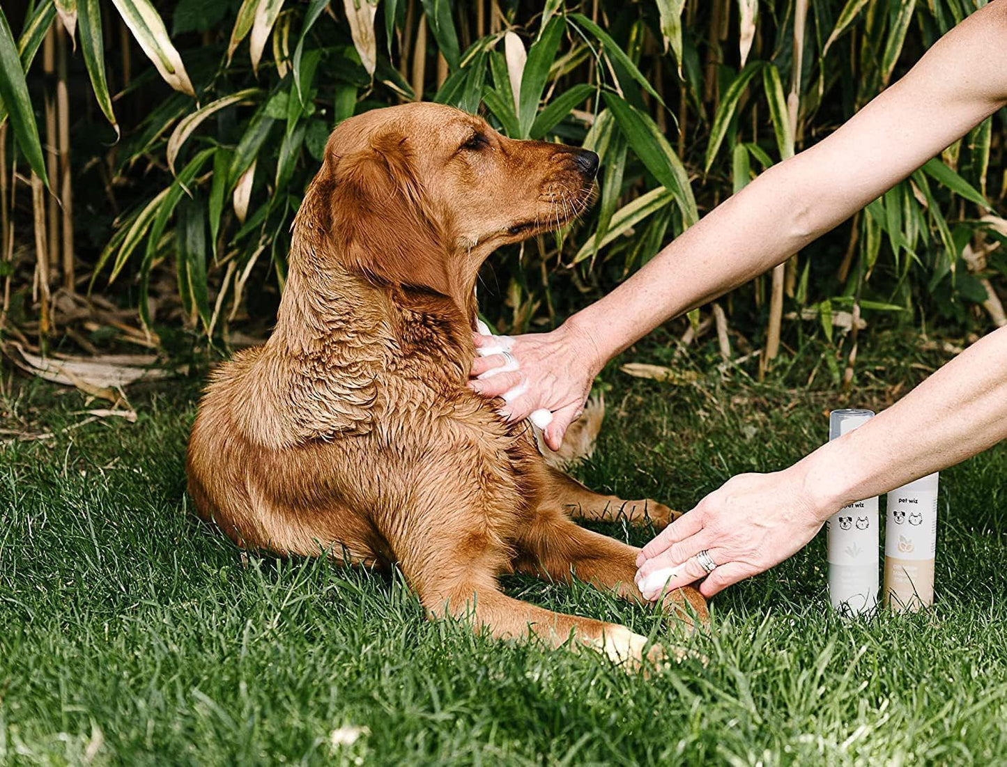 Champú de Lavado en Seco para Mascotas - Suavizante y Desodorante, Ingredientes Naturales, Secado Rápido y No Es Necesario Enjuagar (Aloe y Avena)