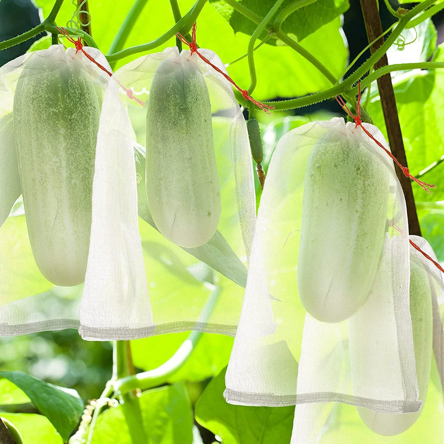 50 Piezas Bolsa Protectora para Uvas, Bolsas de Malla para Insectos Bolsa de Nailon Bolsa Protección para Frutas Bolsas con Cordón Protectoras de Frutas Control de Plagas y Pájaro (20x30cm)