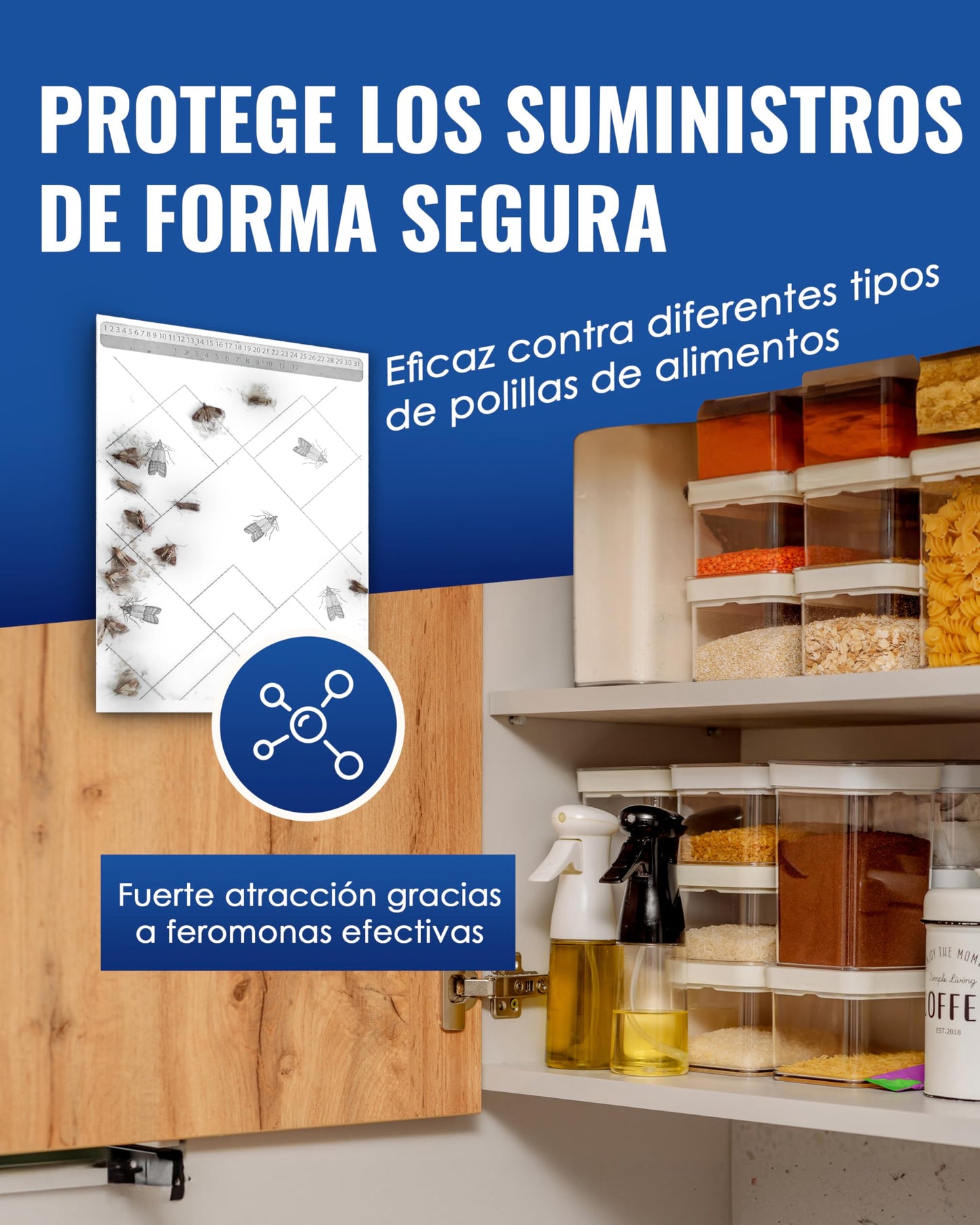 PIC Trampa Polillas Alimentos - 12x Trampas para Polillas de la Comida - Antipolillas Cocina Alimentos - Trampas Adhesivas Eficaces para Determinar la Infestación de Polillas de la Comida