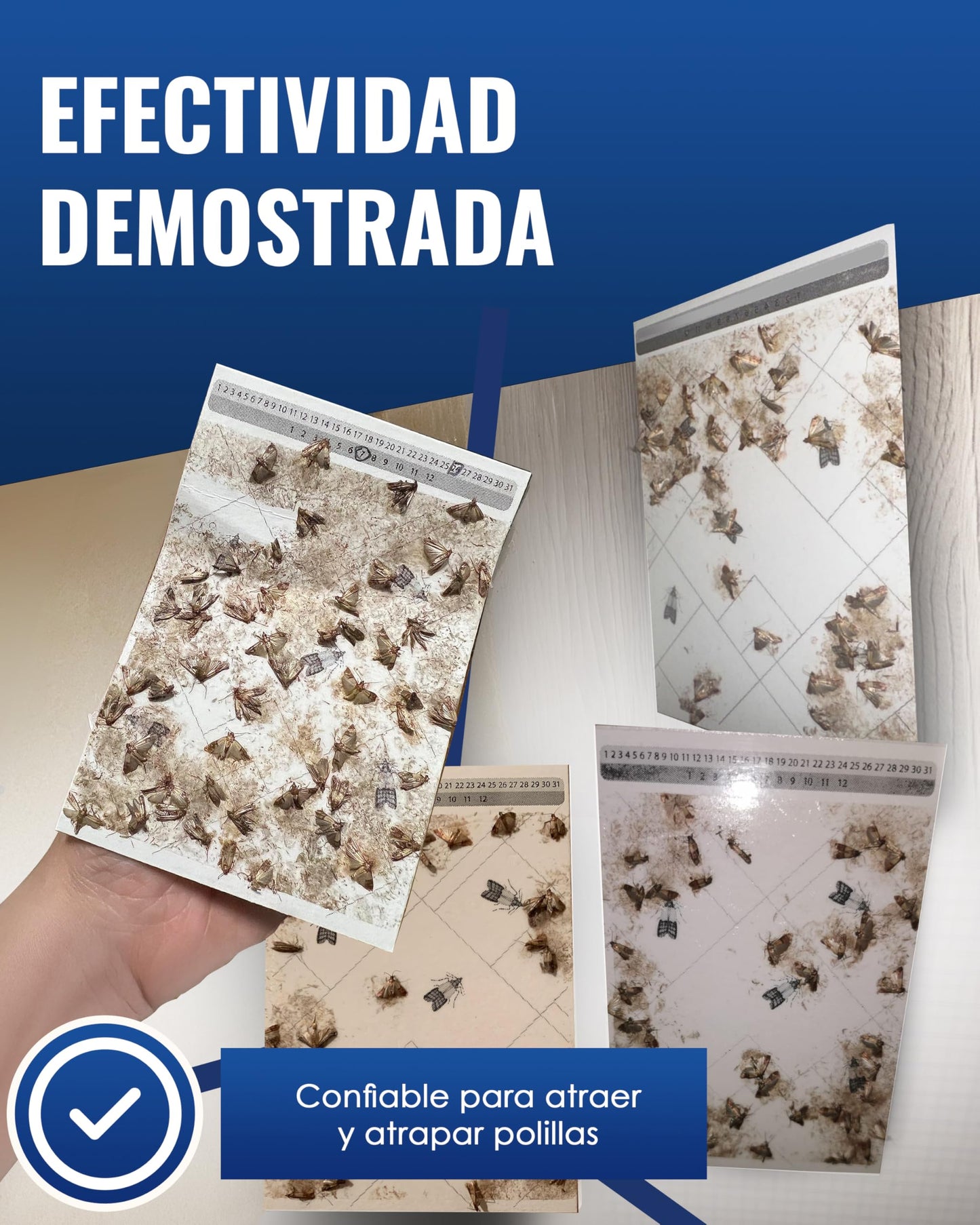 PIC Trampa Polillas Alimentos - 12x Trampas para Polillas de la Comida - Antipolillas Cocina Alimentos - Trampas Adhesivas Eficaces para Determinar la Infestación de Polillas de la Comida