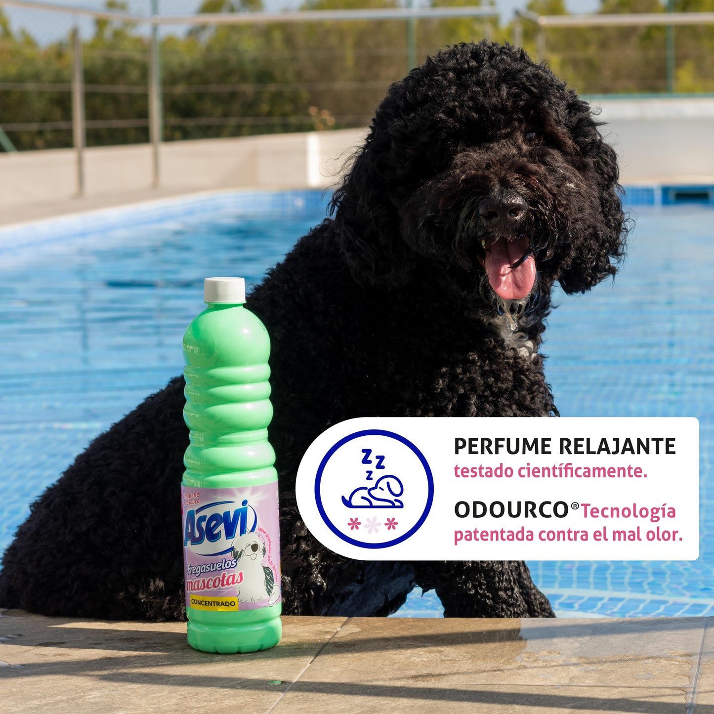 Asevi Fregasuelos Perfumado Duradero Mascotas - Friegasuelos Concentrado con Aroma Fresco - Elimina Malos Olores - Limpiasuelos con pH Neutro para Todo Tipo de Suelos - Envase de 1 Litro