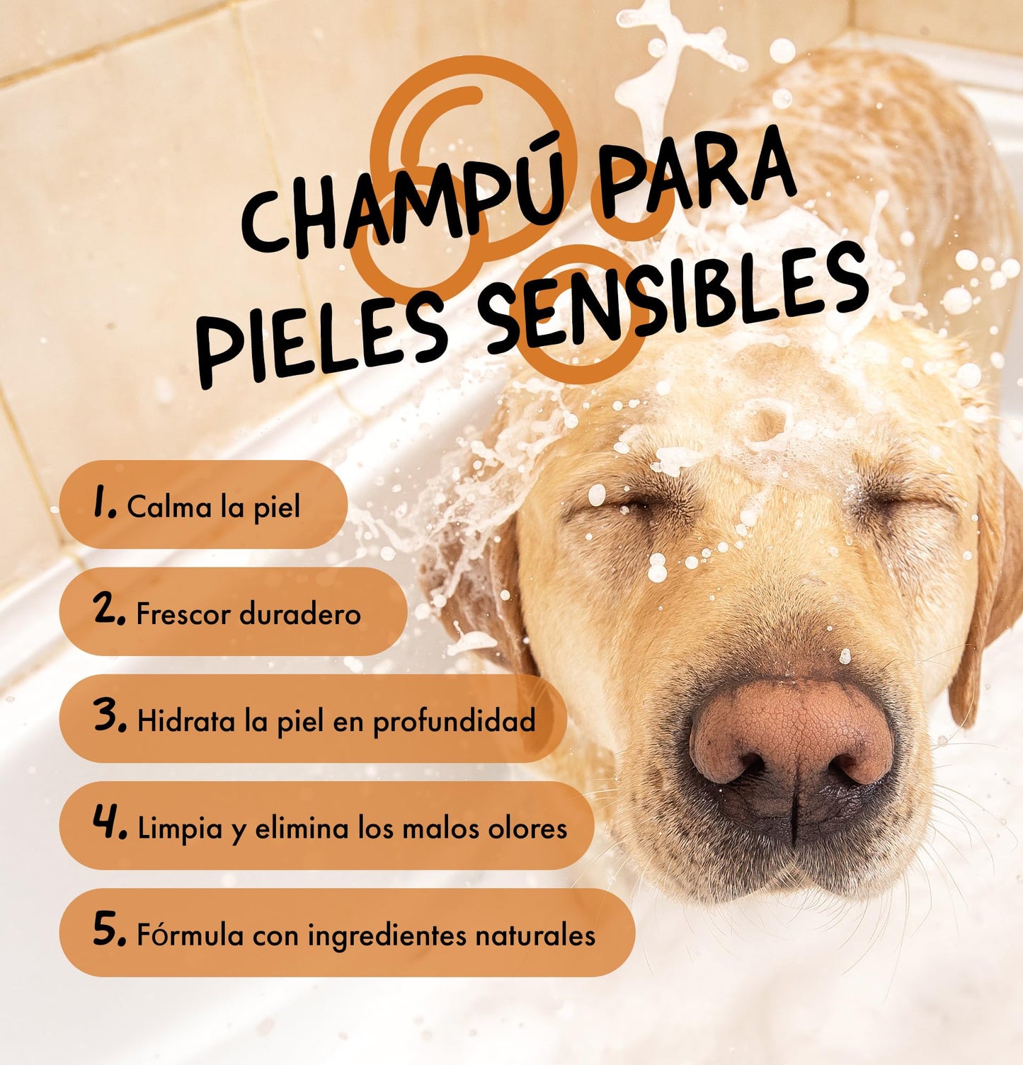 Belly Champú Perros Dermatitis y Picores - Champu para Perros, Calma el Picor y la Irritación - Ideal para Piel Sensible de Cachorros y Adultos - Champu Perros Dermatitis (Avena)