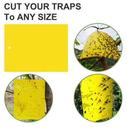 Sunshine smile 40 Piezas Trampa Moscas, Pegatinas Adhesivas de Papel de Mosca Amarillas, atrapamoscas para Plantas, Trampas de Mosca pegajosas (40-Amarillo)