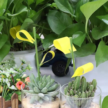MOLZINY 30Pcs Atrapa Moscas Trampa Moscas Fruta Trampa Atrapa Moscas Trampas para Insectos Adhesivas para Moscas Pegatinas de Doble Cara Papeles Pegajosos Amarillos Trampas de Moscas para Jardín