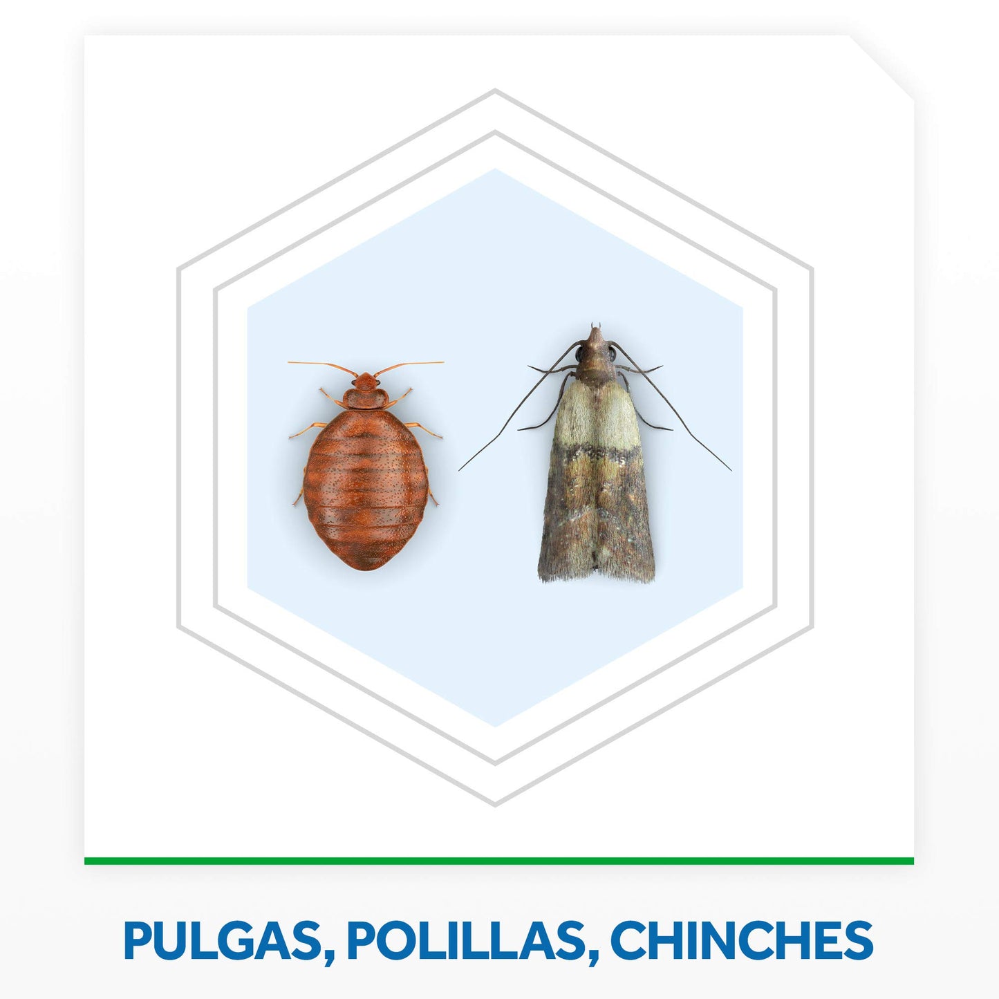 Raid ® Spray Insecticida - Aerosol Multi-Insectos, para todo tipo de insectos, Eficacia inmediata, Unidad, 400ml