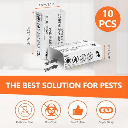 AMFUN Trampas de Insectos, 10 Piezas Trampas Adhesivas, Adhesiva Multiusos para Plagas, Adecuado para el Hogar en Interiores y Jardines