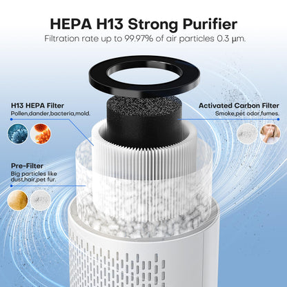 QEXREED Purificador De Aire Para Alergias En Hogar, Filtro HEPA De Alta Eficiencia, 3 Velocidades Y Temporizador, Elimina AléRgenos Y PartíCulas
