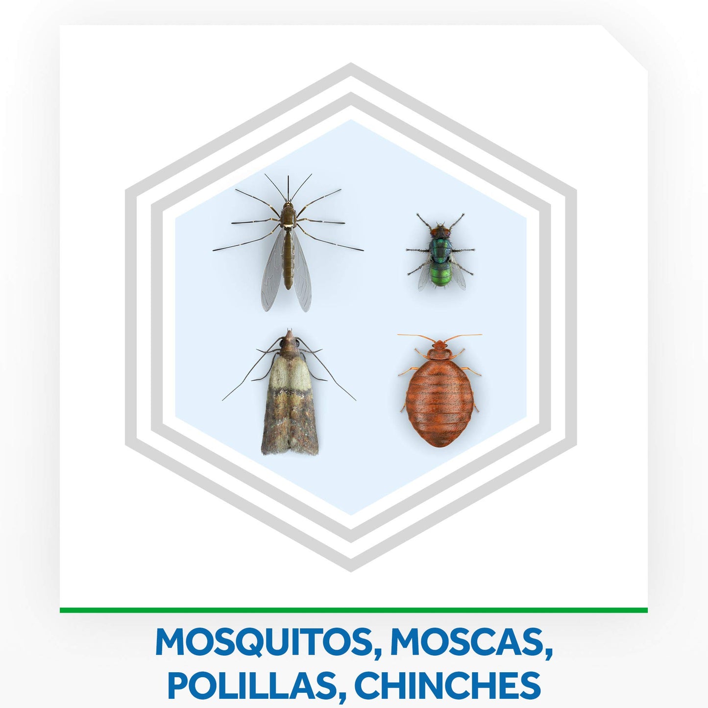 Raid ® Spray Insecticida - Aerosol Multi-Insectos, para todo tipo de insectos, Eficacia inmediata, Unidad, 400ml