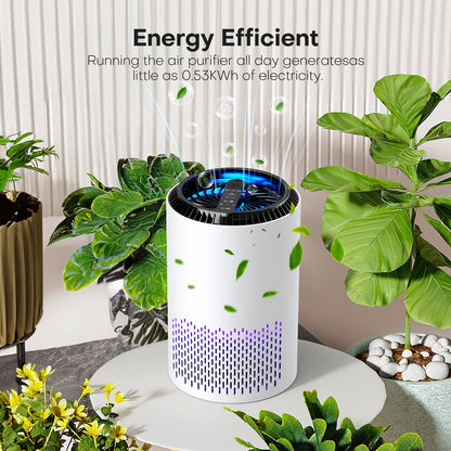 QEXREED Purificador De Aire Para Alergias En Hogar, Filtro HEPA De Alta Eficiencia, 3 Velocidades Y Temporizador, Elimina AléRgenos Y PartíCulas