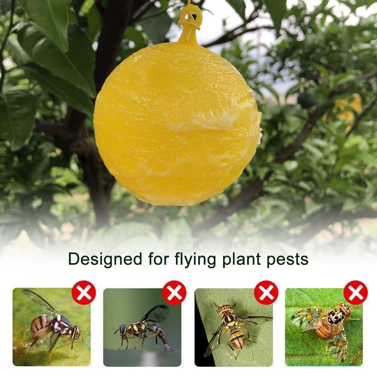 Bola de Trampa para Moscas Colgantes de 10 Piezas, Receptor de Moscas de Fruta Trampa pegajosa, Receptor de plagas al Aire Libre para Planta de Interior, Balcones, Patios, huertos
