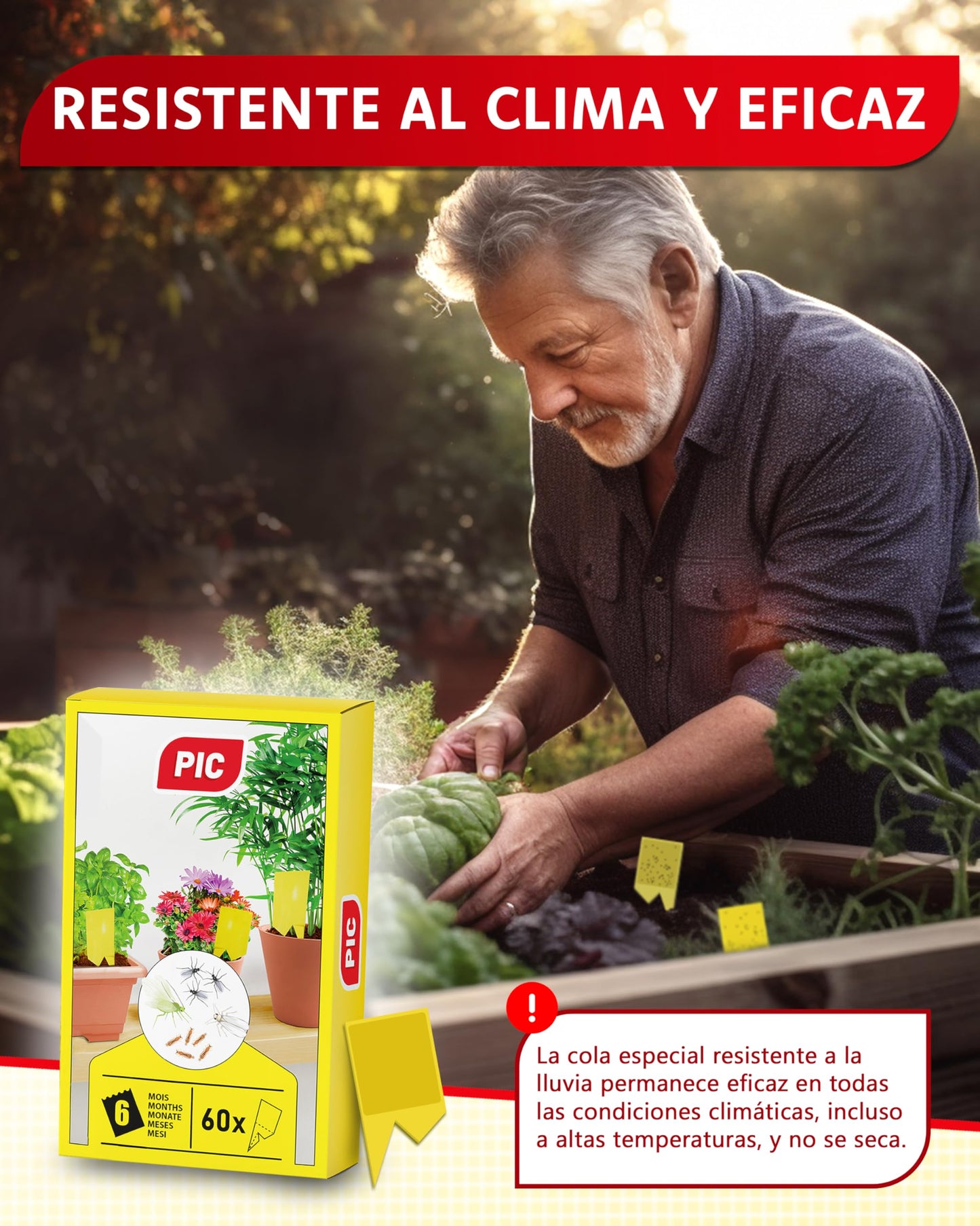 PIC Trampas Cromaticas Amarillas contra para Mosquito del Mantillo - 60x Pegatinas Trampas para Mosquitos, Eficaz Trampa Mosquitos No Tóxica, Ideal para Plantas De Interior contra Moscas pequeños