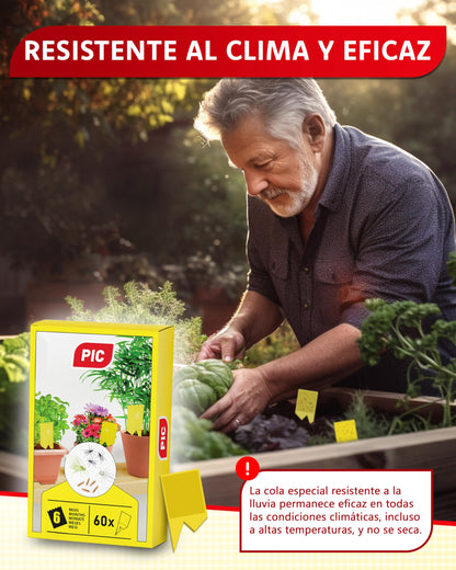 PIC Trampas Cromaticas Amarillas contra para Mosquito del Mantillo - 60x Pegatinas Trampas para Mosquitos, Eficaz Trampa Mosquitos No Tóxica, Ideal para Plantas De Interior contra Moscas pequeños