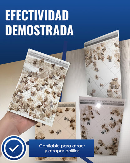 PIC Trampa Polillas Alimentos - 12x Trampas para Polillas de la Comida - Antipolillas Cocina Alimentos - Trampas Adhesivas Eficaces para Determinar la Infestación de Polillas de la Comida