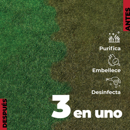 LUCCY Higienizador Césped Artificial 5 litros | Limpiador para Césped Artificial Triple Acción, Higienizador Concentrado, Control de Olores